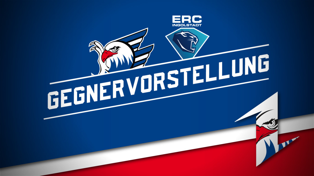 Der nächste Gegner: ERC Ingolstadt